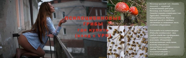 мяу мяу кристалл Переславль-Залесский