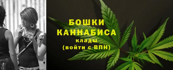 шишки Осинники