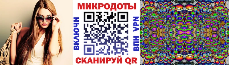 Купить  Козловка  Псилоцибиновые грибы Magic Shrooms 